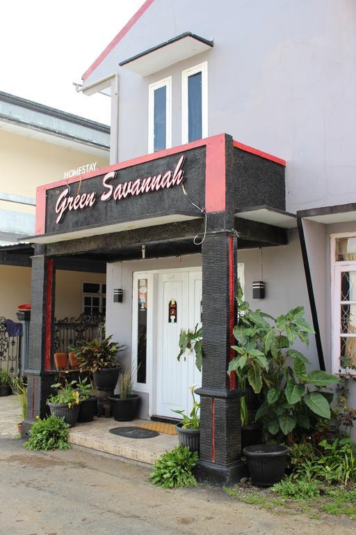 Green Savannah Homestay Syariah Diyeng Extérieur photo