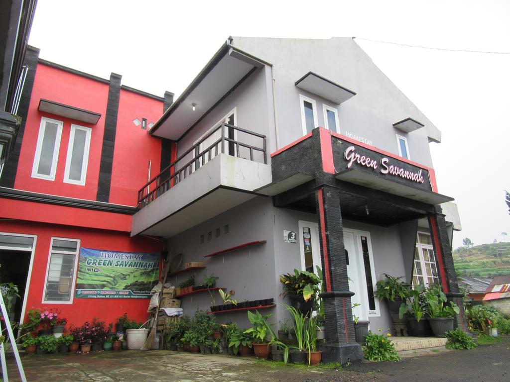 Green Savannah Homestay Syariah Diyeng Extérieur photo