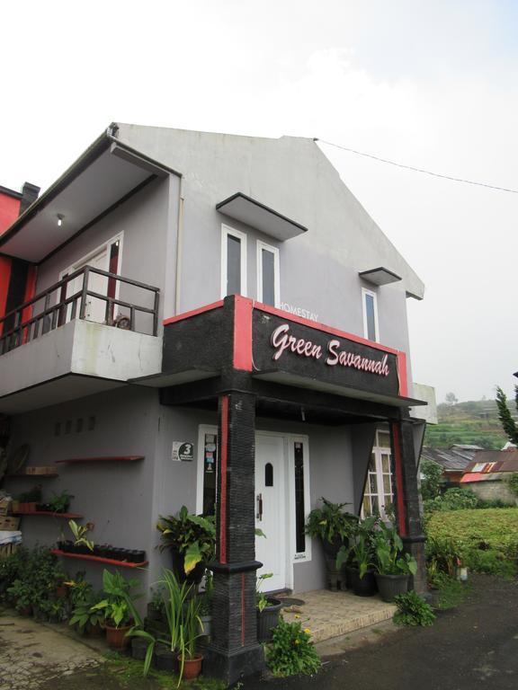 Green Savannah Homestay Syariah Diyeng Extérieur photo