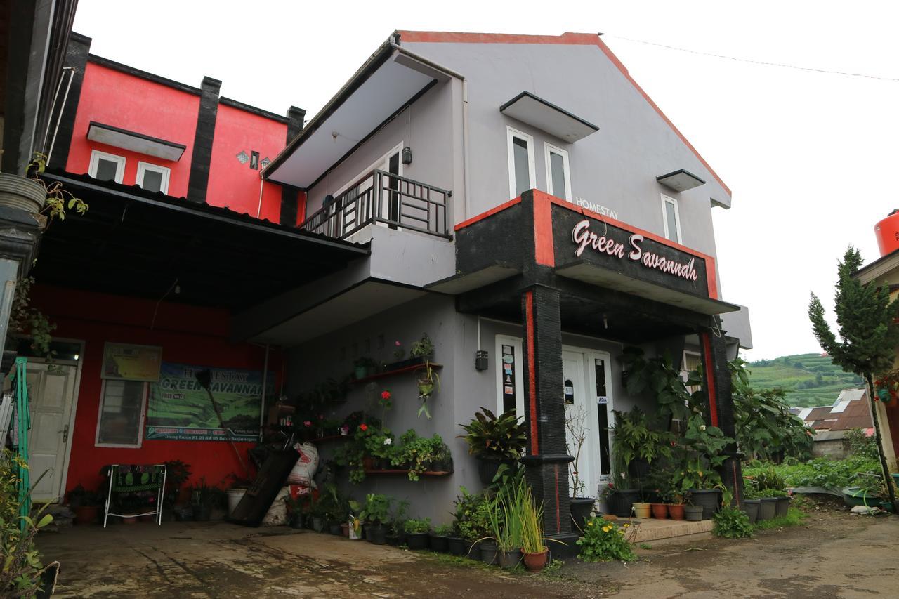 Green Savannah Homestay Syariah Diyeng Extérieur photo